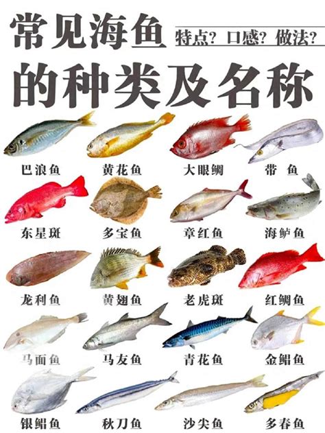 魚的種類有哪些 浠讀音